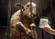 Amway Nutrilite Fiber: Let Them Out