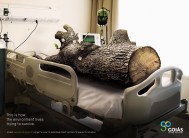 Governo de Goiás Secima: Environment