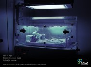 Governo de Goiás Secima: Environment