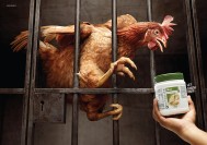 Amway Nutrilite Fiber: Let Them Out