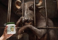 Amway Nutrilite Fiber: Let Them Out